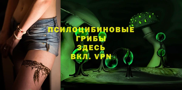 ешки Алексеевка