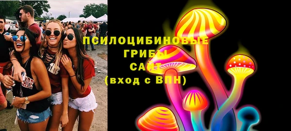 винт Алексин
