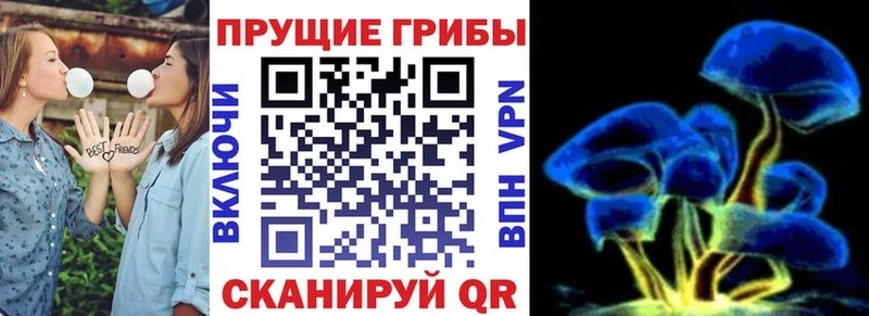 Псилоцибиновые грибы GOLDEN TEACHER  Лянтор 